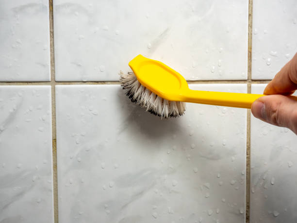 Best Mold Removal Company Near Me  in Darien, IL