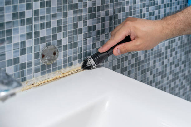 Best Mold Remediation  in Darien, IL
