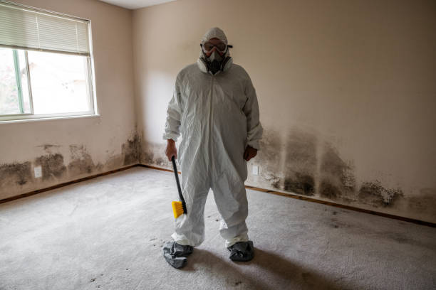 Best Professional Mold Removal  in Darien, IL